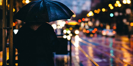 开云真人体育娱乐-_森林狼战斗精神爆发，追逐季后赛梦想_，森林狼kg