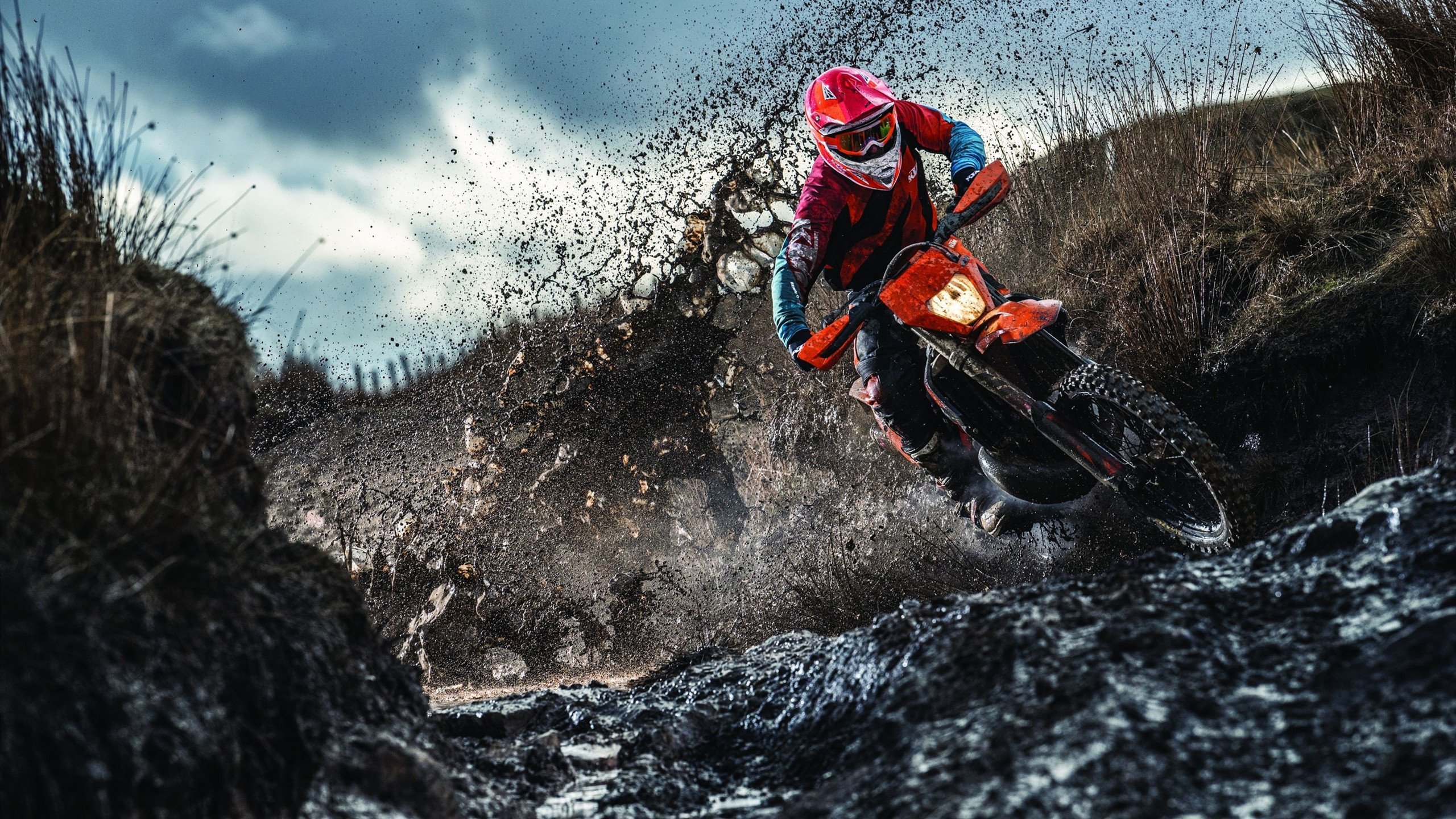 “未来新星:年度潜力排名榜单”,未来潜力新品