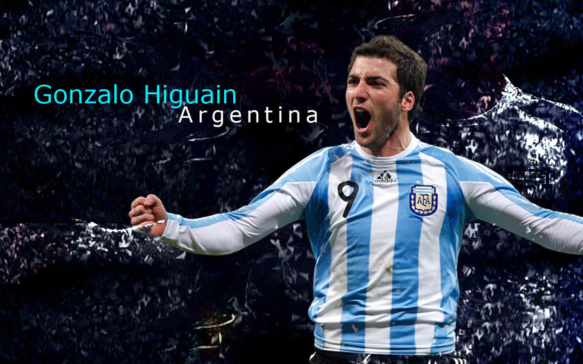 洛杉矶FC球员获选月度最佳，表现突出，洛杉矶fc球队